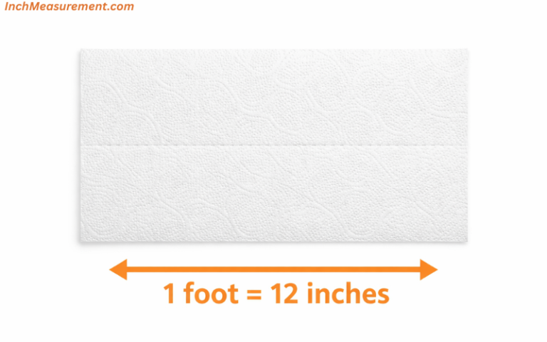 One Foot Items How Long Is 1 Foot?11 Common Things That Are 1 Foot Long ...