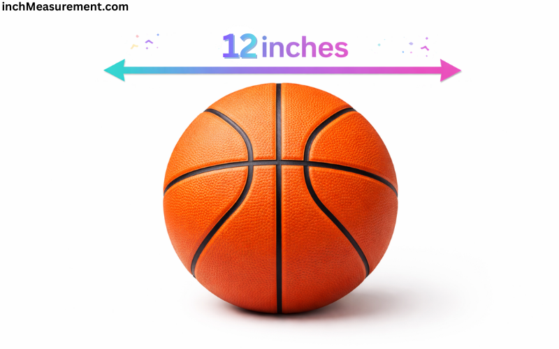 How Long Is 12 Inches