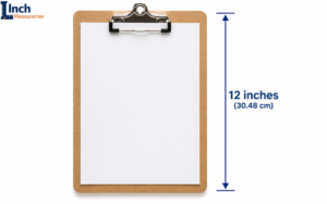 Something 12 Inch How Long Is 12 Inches? 15 Everyday Things That Are 12 Inches Long ...