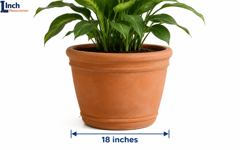 Garden Plant Pot Diameter (Large) About 18 inches