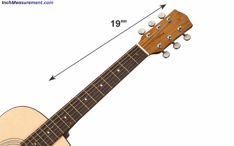 How Long Is 19 Inches