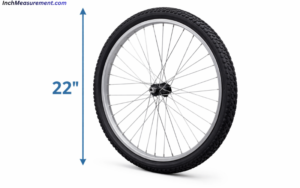 15 Common Things That Are 22 Inches Long - inchmeasurement.com