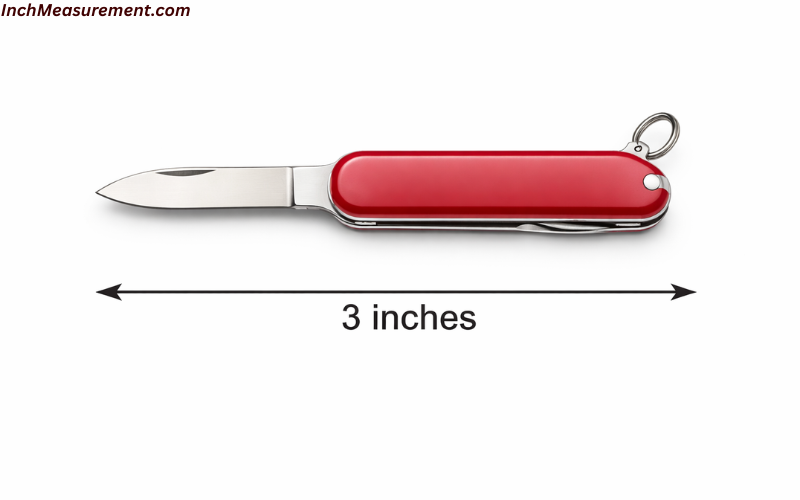 How Long Is 3 Inches