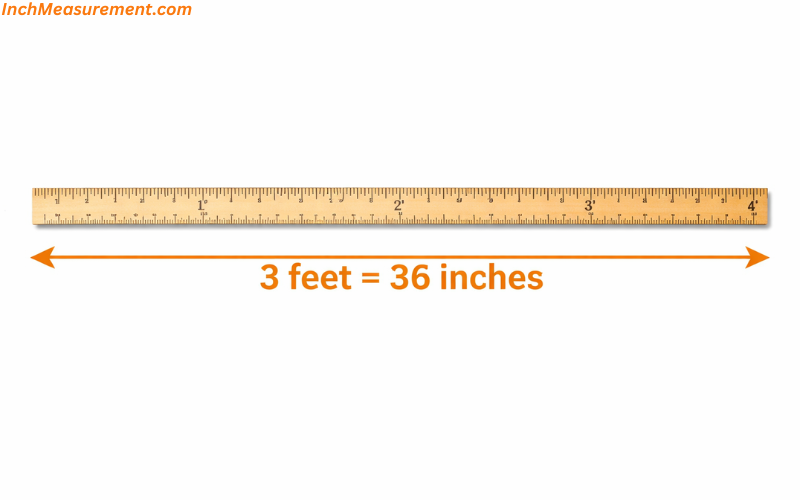 How Long Is 3 feet