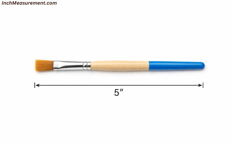 How Long Is 5 Inches