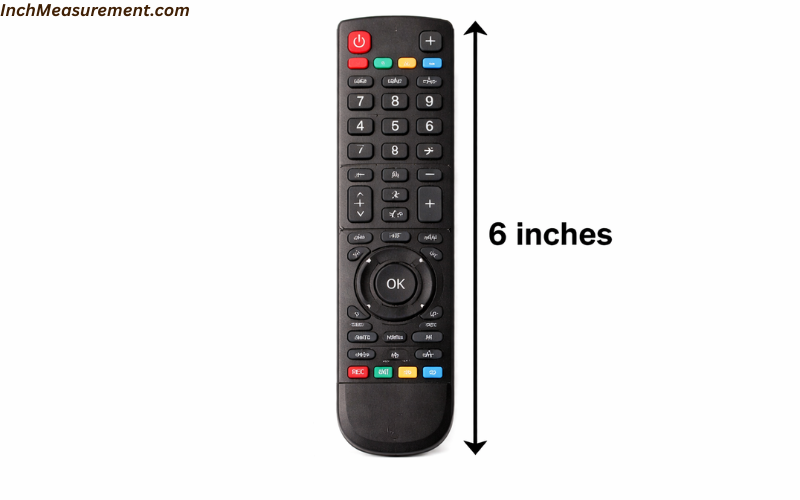 How Long Is 6 Inches