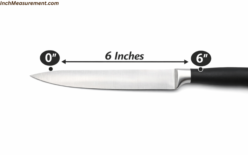 How Long Is 6 Inches