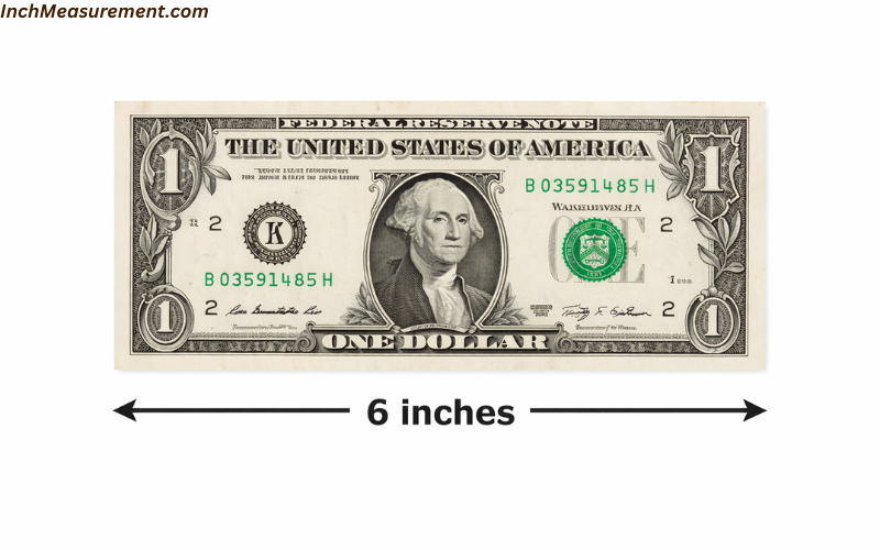 How Long Is 6 Inches