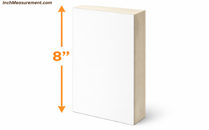 How Long Is 8 Inches