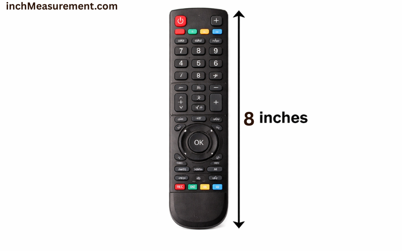 How Long Is 8 Inches