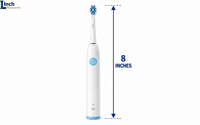 How Long Is 8 Inches Electric Toothbrush