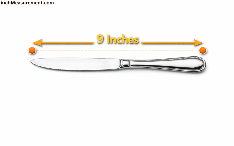 How Long Is 9 Inches