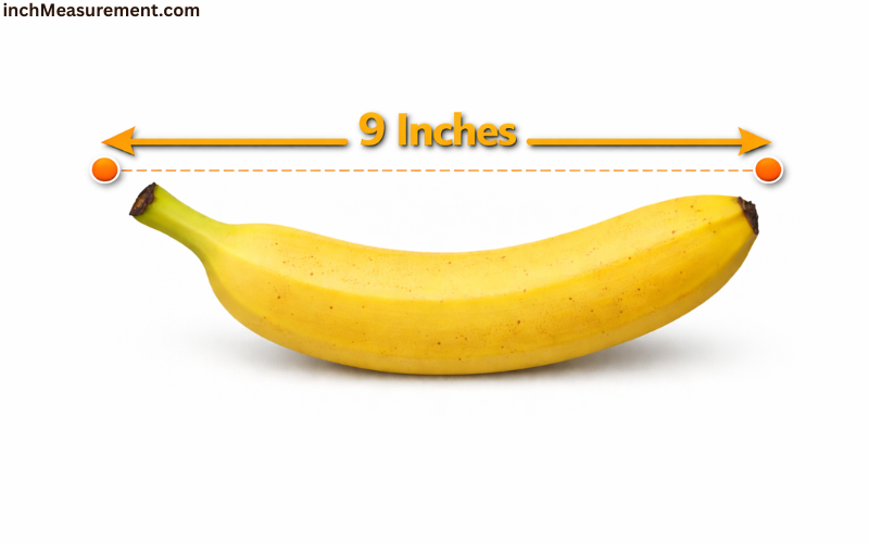 How Long Is 9 Inches
