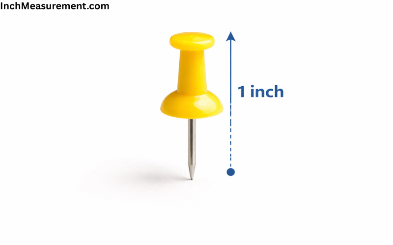 How Long Is an Inch