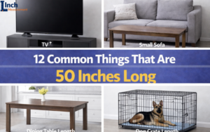 How Long Is 50 Inches