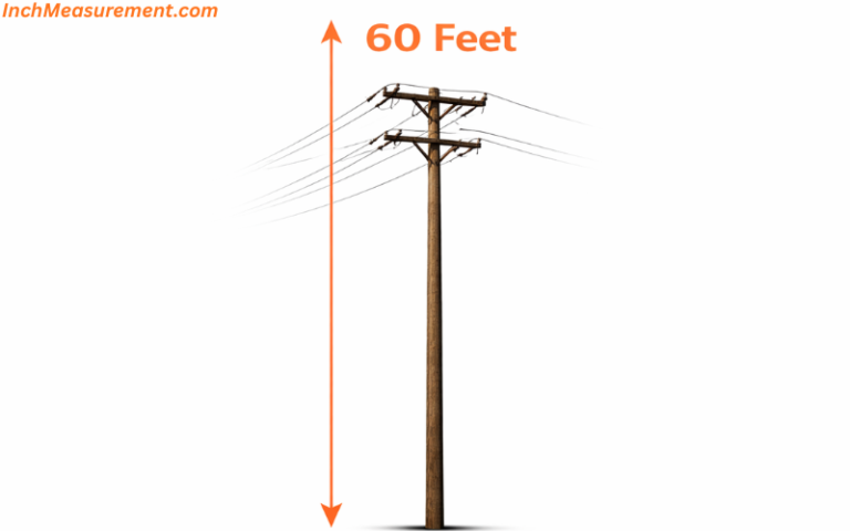 13 Common Things That Are 60 Feet Long - inchmeasurement.com