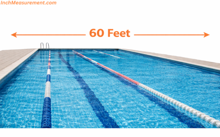 13 Common Things That Are 60 Feet Long - inchmeasurement.com