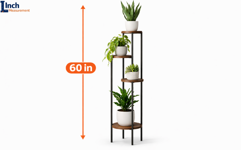 How Tall Is 60 Inches