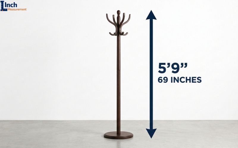 What Is 5'9 in Inches