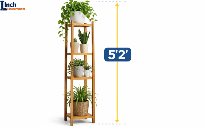 What Is 5'2 In Inches