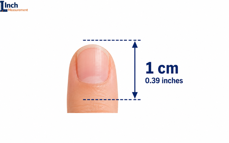 How Big Is 1 CM