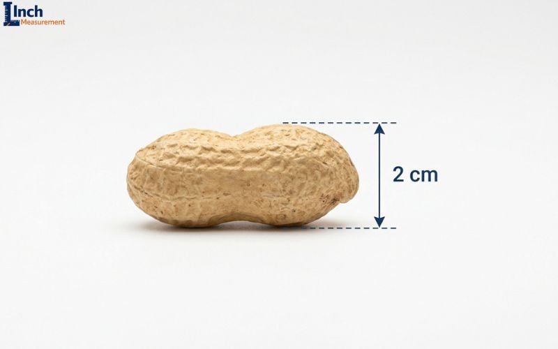 How Big Is 2 CM