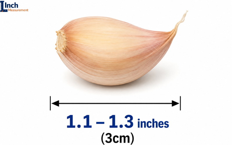 How Big Is 3 CM