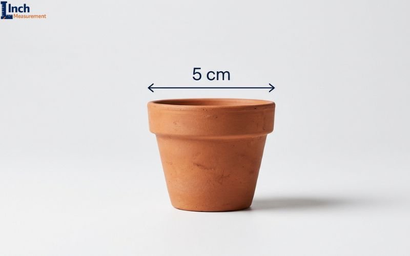 How Big Is 5 CM
