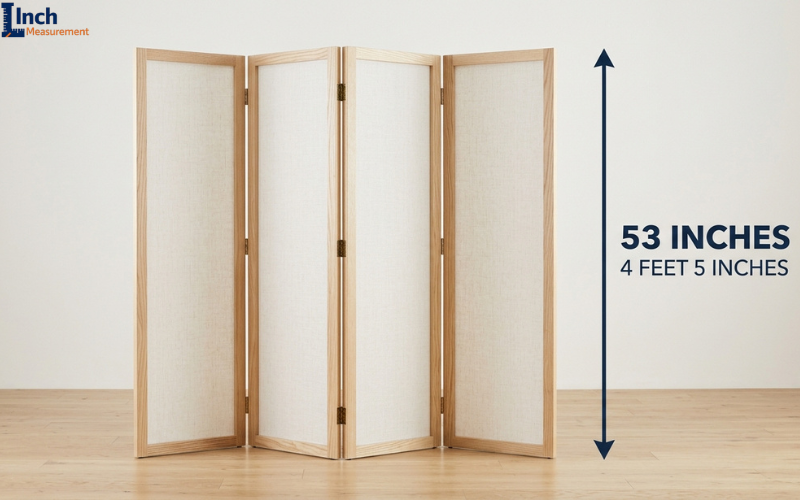 How Tall Is 53 Inches