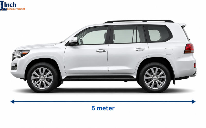 How long is 5 meter