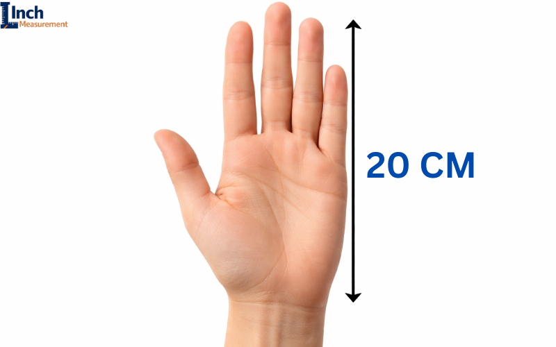 How Big Is 20 cm