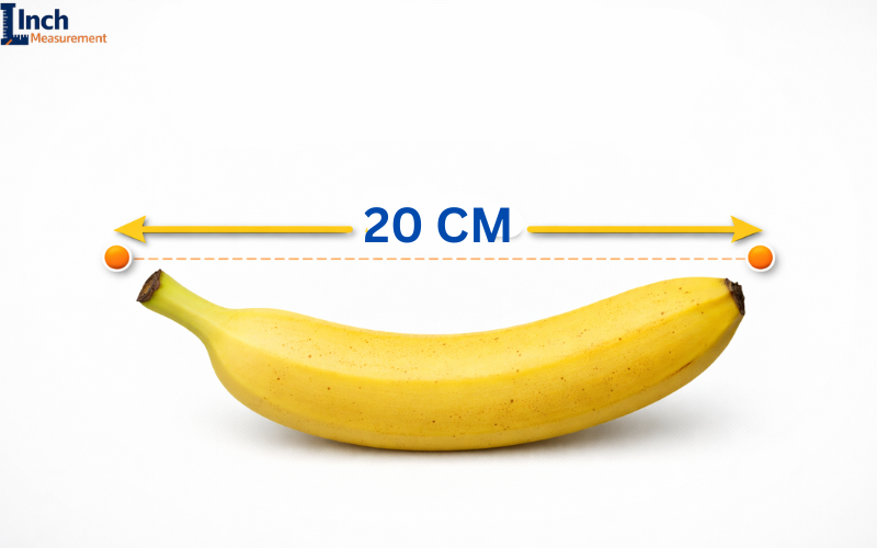 How Big Is 20 cm