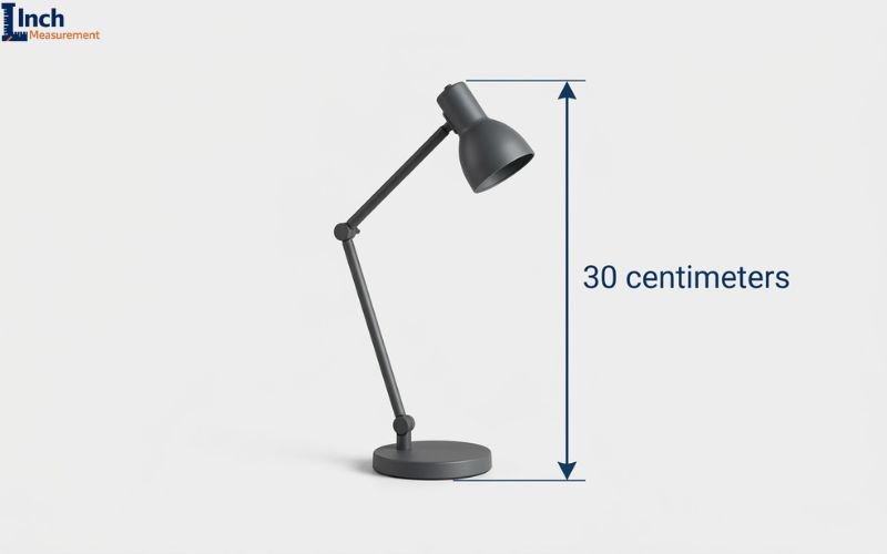How Big Is 30 cm