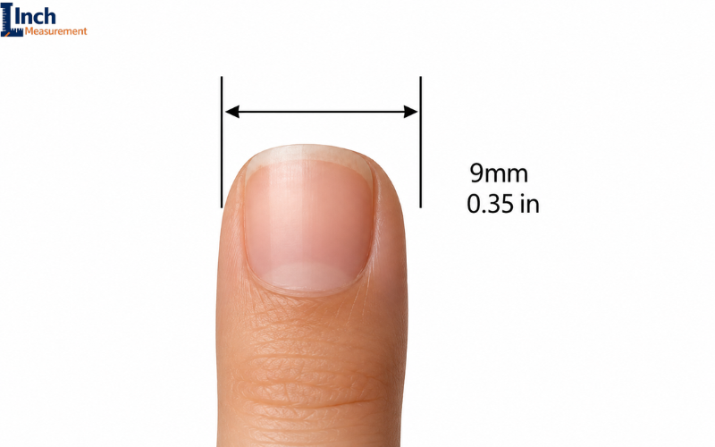 How Big Is 9MM