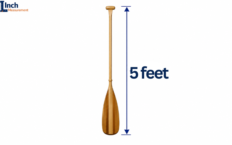 How Long Is 5 Feet