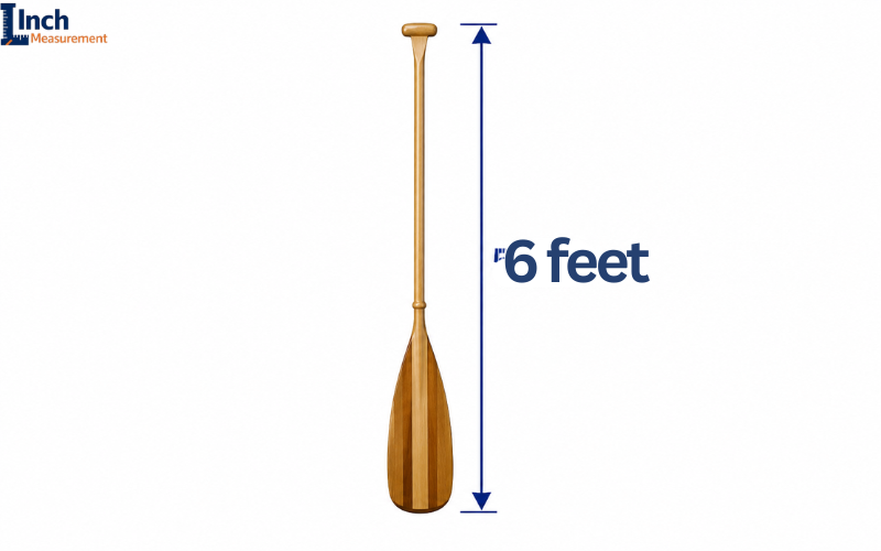 How Long Is 6 Feet