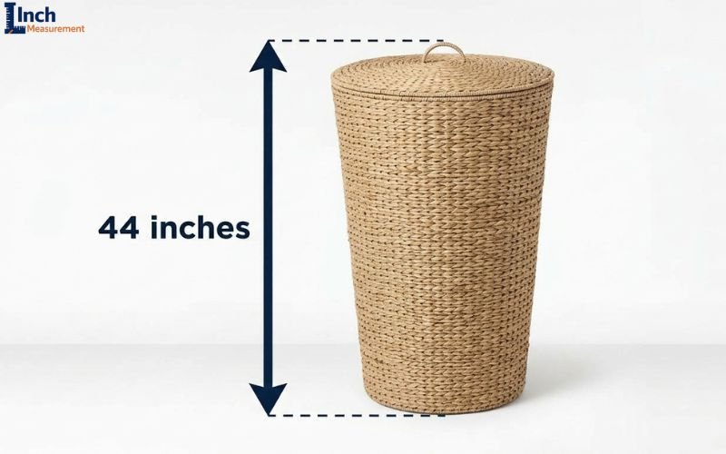 How Tall Is 44 Inches