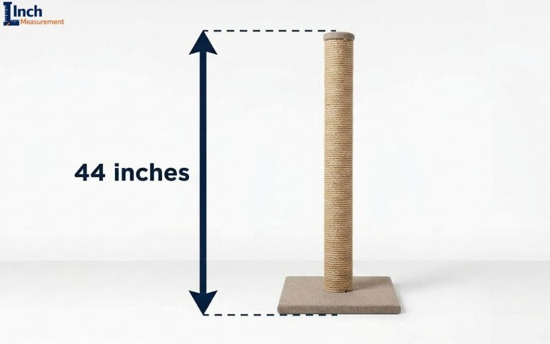 How Tall Is 44 Inches