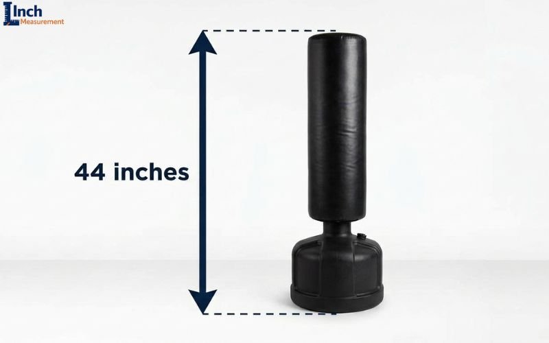 How Tall Is 44 Inches